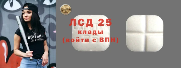 шишки Алексин