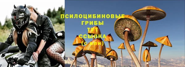 прущие крисы Алексеевка