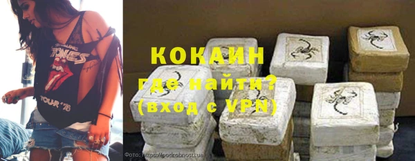 шишки Алексин