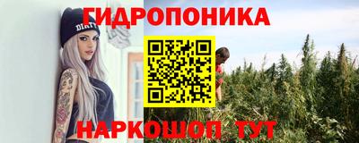 спайс Кимры