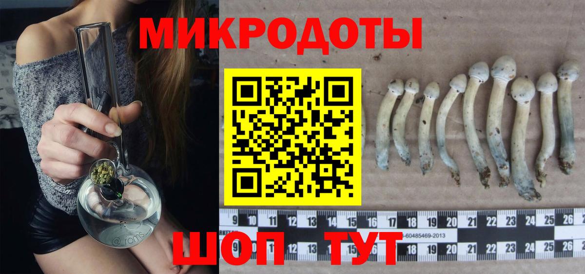 Галлюциногенные грибы Psilocybine cubensis  Галлюциногенные грибы GOLDEN TEACHER  Курчалой  Вход с VPN 